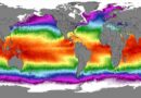 Global average ocean surface temperatures 08 04 2023 Source: NOAA & Climate Change Institute at the University of Maine. Creative Commons Attribution-NonCommercial 4.0 International License Creative Commons License.