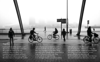 “Together” in Weather Forecast Photographic Exhibition
